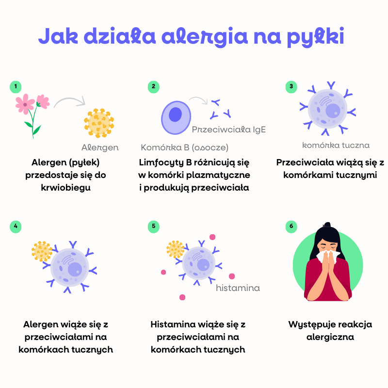 (Polština) (43)
